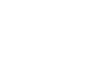 MSC & Software GmbH